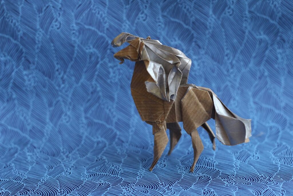 122014564.jpg